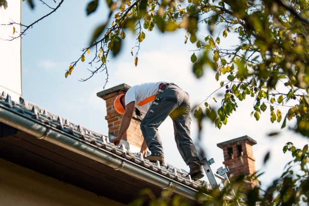 Best Roof Replacement  in Fairmont, IL