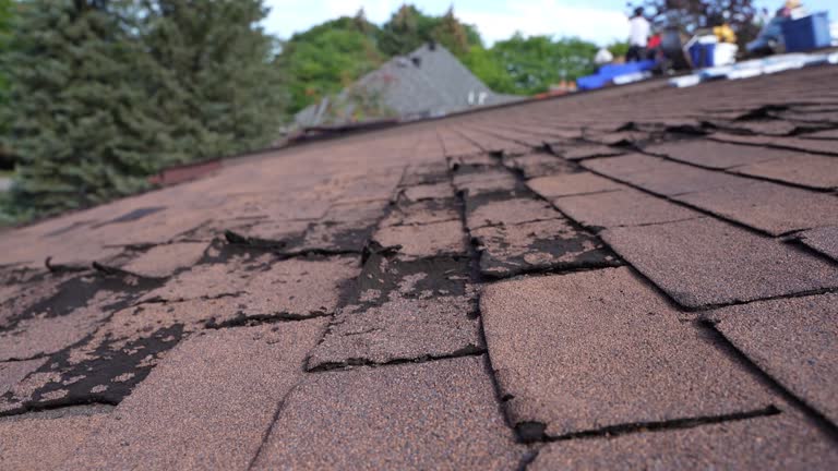 Best Hot Roofs  in Fairmont, IL