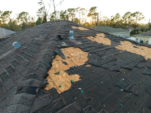 Best Roof Leak Repair  in Fairmont, IL
